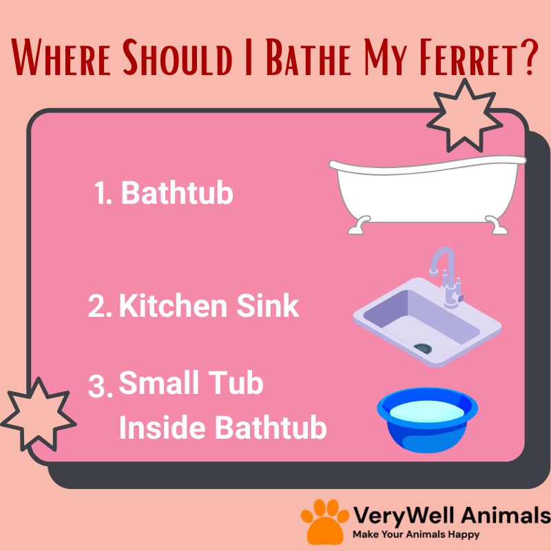 where should i bathe my ferret