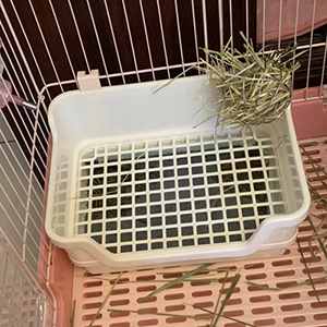 litter box with grid