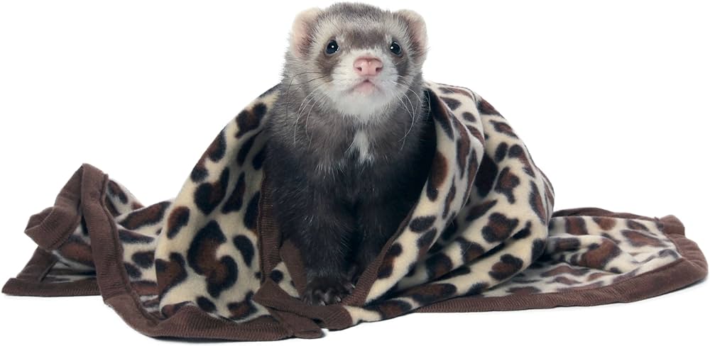 Marshall Designer Fleece Blanket for Ferrets, Pattern Fleece
